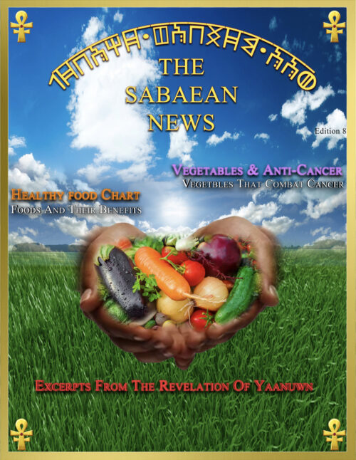 The Sabaean News Edition 8